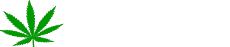 Marijuana Doctor Long Island